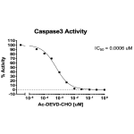 Caspase-3 Activity Assay Kit